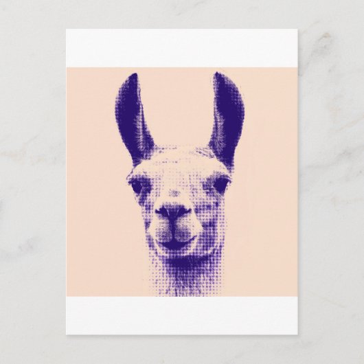 de heer Llama Briefkaart (Voorkant)