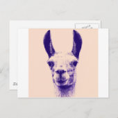 de heer Llama Briefkaart (Voorkant / Achterkant)