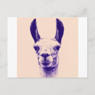 de heer Llama Briefkaart