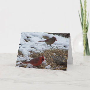 De heer&mevrouw kardinaal dineren kaart