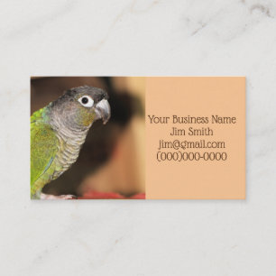 de heer Oliver Visitekaartje