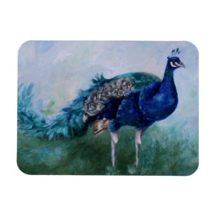 de heer Peacock Magneet