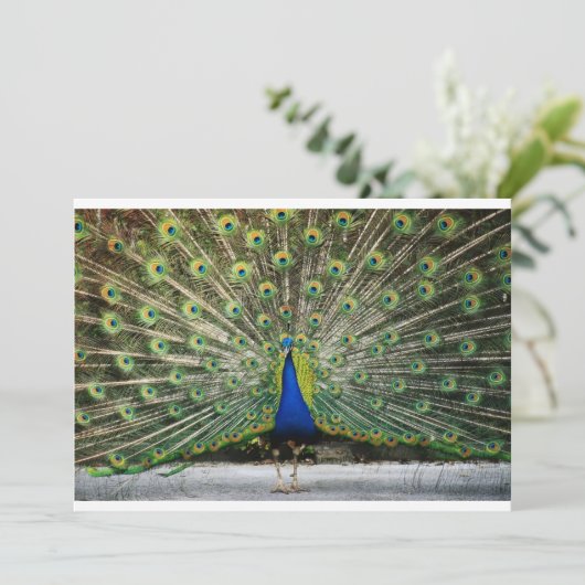 de heer Peacock Uitnodiging (Staand voorkant)