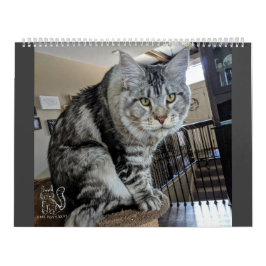 de heer Puppy-Socks Calendar Kalender