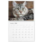 de heer Puppy-Socks Calendar Kalender (Jan 2026)