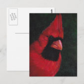 de heer Red Cardinas Bird Art Briefkaart (Voorkant / Achterkant)