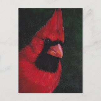 de heer Red Cardinas Bird Art Briefkaart