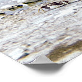 De heer Rhino's Dag op het strand Poster (Hoek)