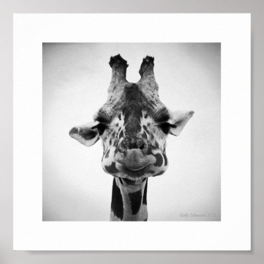 de heer Serious Giraffe Black and White Photograph Poster (Voorkant)
