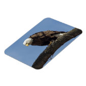 de heer Serious Magneet (Linkerzijde)