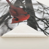 De heer sherpa deken (3/4)