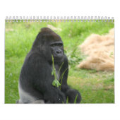 de heer Silverback Kalender (Hoes)