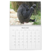de heer Silverback Kalender (Mar 2026)