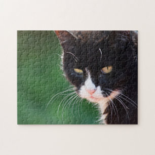 de heer Whiskers - Cat Puzzle Legpuzzel