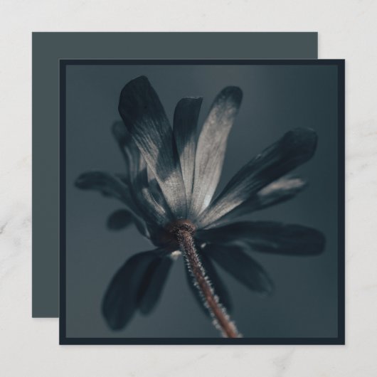 De heerlijk donkere bloem kaart (Voorkant / Achterkant)