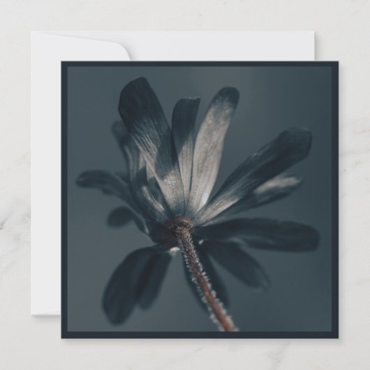 De heerlijk donkere bloem kaart (Voorkant)