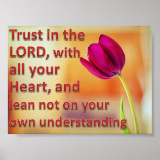 De Heilige Bijbelthema's Poster