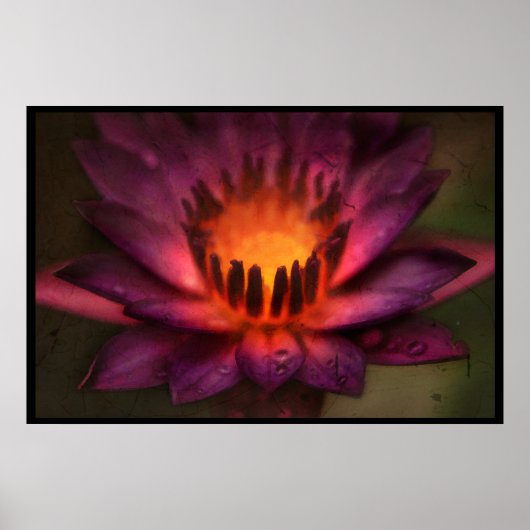 De heilige brandweerdansdoek van een Lotus Poster (Voorkant)