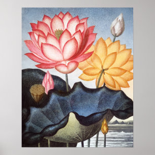 De heilige Egyptische boon Poster