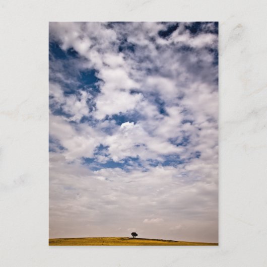 De helft van het blauwe universum briefkaart (Voorkant)