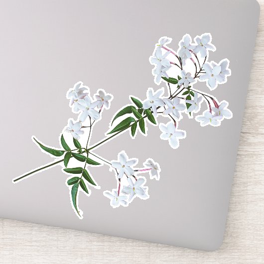 De Herb Jasmine | VinylSticker Sticker (Detail)