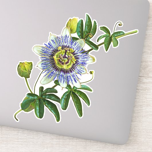 De Herb Passionflower | VinylSticker Sticker (Detail)