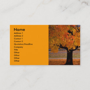 de herfst (1), Naam, Adres 1, Adres 2, Contact… Visitekaartje