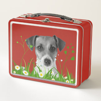 De Herfst 2024 collectie Rood blk/wht hond en gras