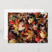 De herfst briefkaart (Voorkant / Achterkant)