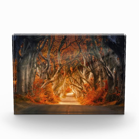 De herfst door de Dikte Fotoblokken (Voorkant)