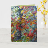 De herfst gestalte geeft aan kaart (Gele Bloem)