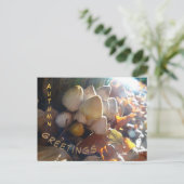 De herfst Greetings Sunny Toadstools Cust. Briefka Briefkaart (Staand voorkant)