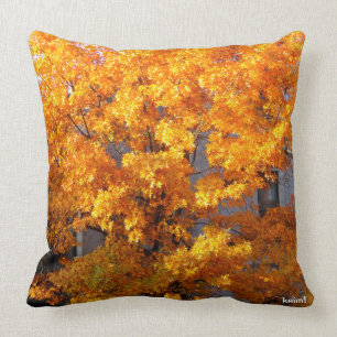 De herfst Harlem boom Kussen