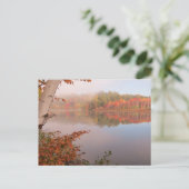 De herfst herinnert zich voorbij de Birch Briefkaart (Staand voorkant)