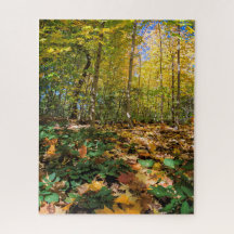 De herfst in Central Park New York Jigzaag Puzzle