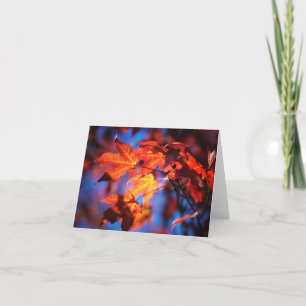 De herfst in de Kaart van de Nota van Iowa