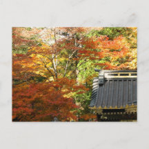 De herfst in Nikko, Japan