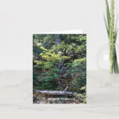 De herfst is hier...... kaart (Voorkant)