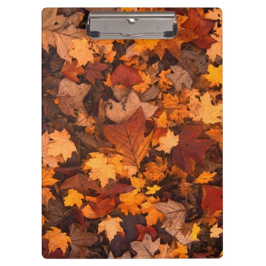 de herfst klembord (Voorkant)