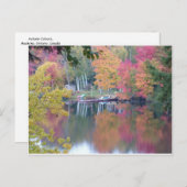 De herfst kleurde Bladeren Briefkaart (Voorkant / Achterkant)