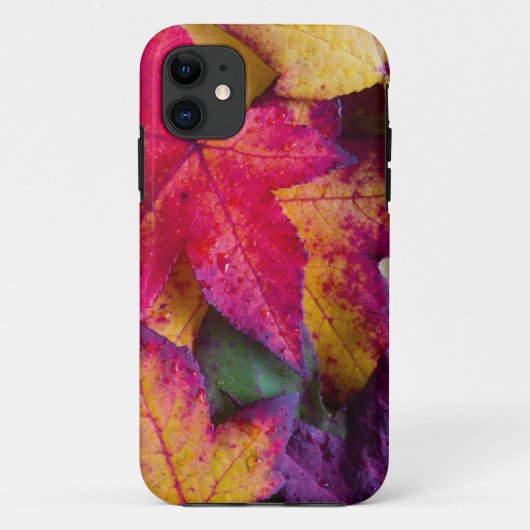 De herfst laat de #2 Case-Mate iPhone case (Achterkant)