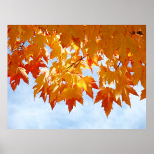 De herfst laat de blauwe hemelwolken prints die de