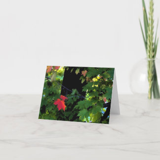 De Herfst Notecards van augustus Kaart