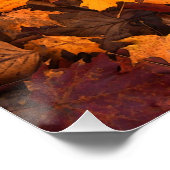 de herfst perfect poster (Hoek)