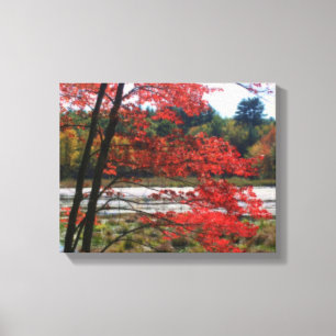 De herfst sloot de Natuur van Marsh af Canvas Afdruk
