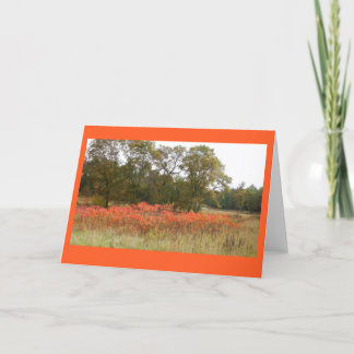 De herfst Sumac II Lege Notecard Kaart