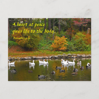 De herfst van de Duck Pond Briefkaart