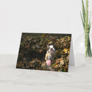 De herfst van Martha Kaart