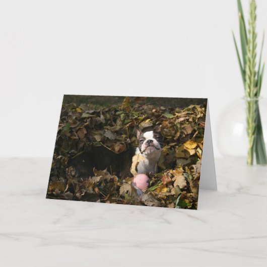 De herfst van Martha Kaart (Voorkant)