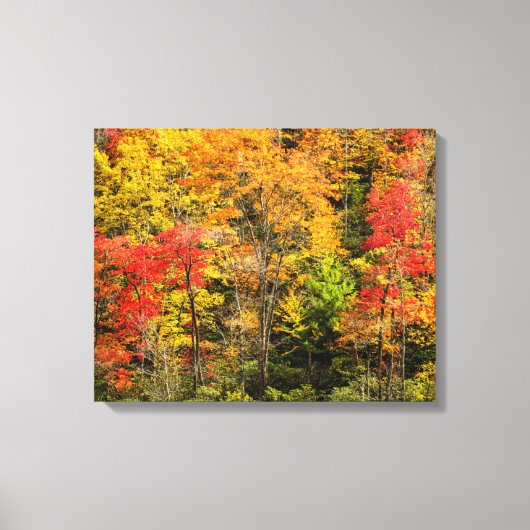 De herfst van Sims Pond North Carolina, Blue Ridge Canvas Afdruk (Voorkant)